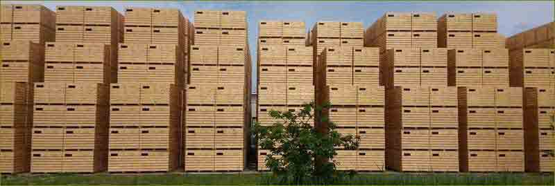 Cajas de almacenaje de madera vs cajas de almacenaje de plástico