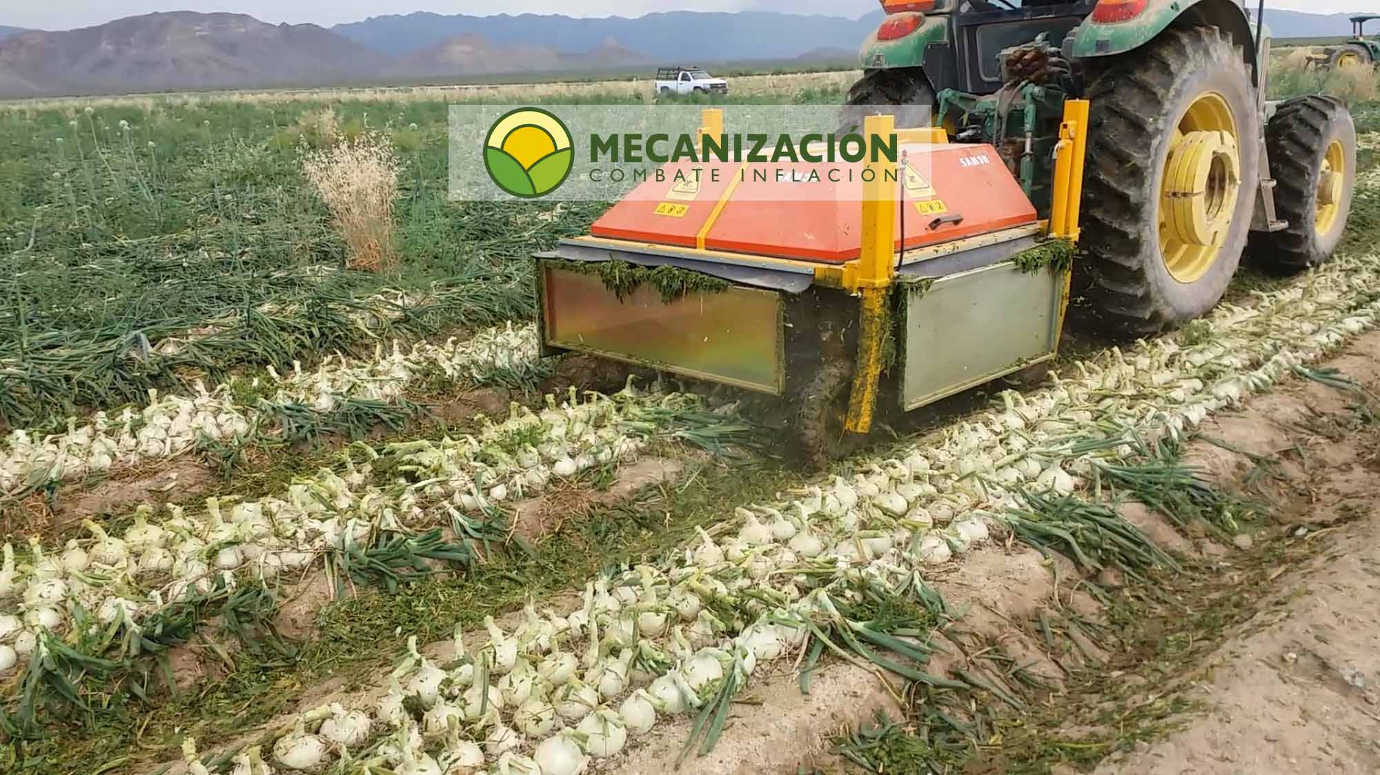 Cebollas, desbrozadora del verde en accion en Mexico.