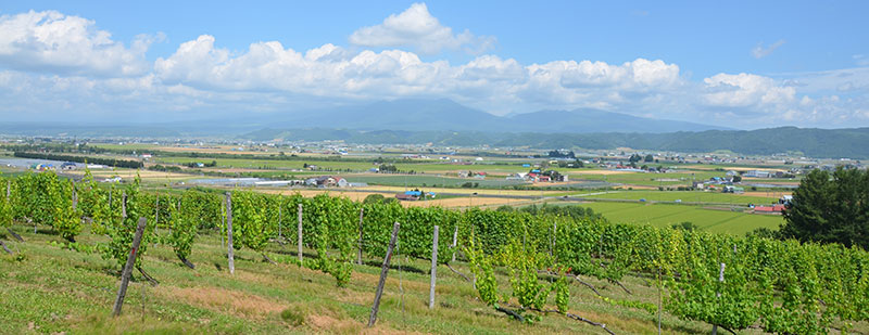 La agricultura en Hokkaido, Japón