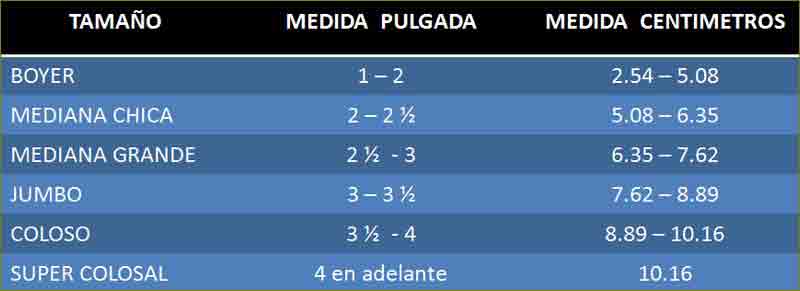 La tabla de los calibres, con su nombre, de la cebolla en M&eacute;xico.